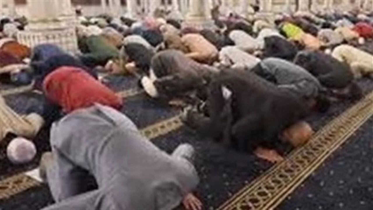 8 ركعات فقط.. هل تجوز صلاة التراويح بهذا العدد في رمضان؟